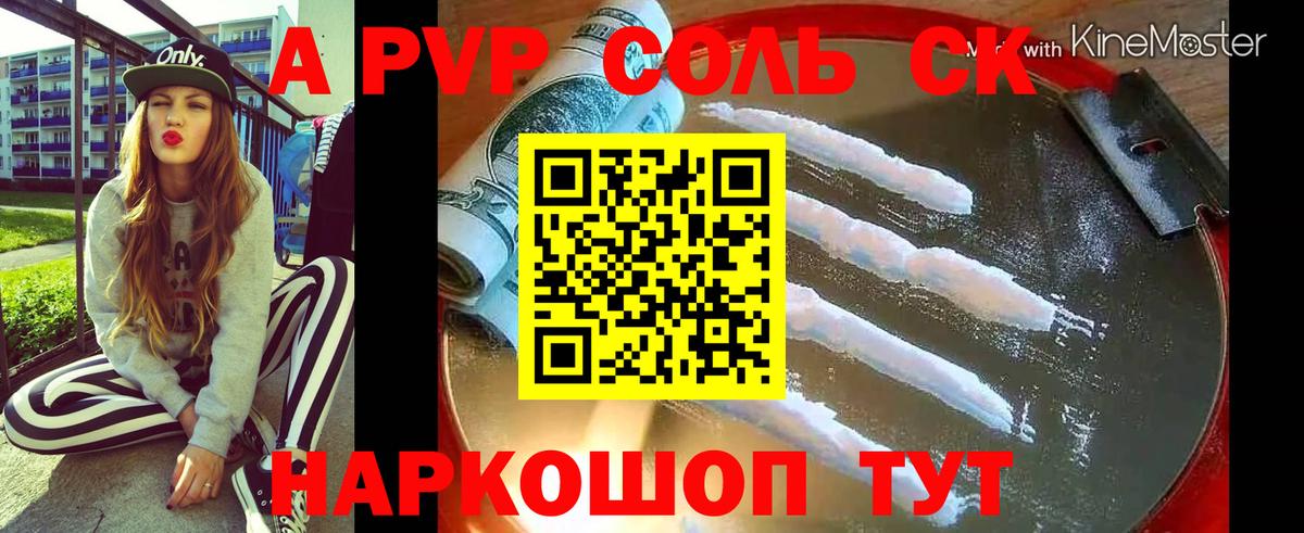 A PVP СК КРИС Кинель