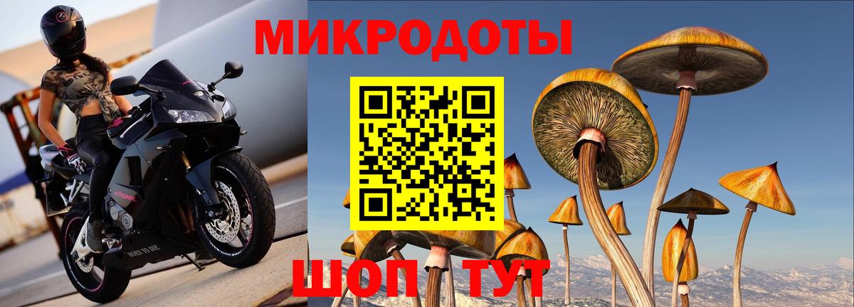 Псилоцибиновые грибы Cubensis  Вход с VPN  Псилоцибиновые грибы GOLDEN TEACHER  Кинель 